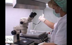 spital analize medic cancer laborator microscop recoltare medicamente teste